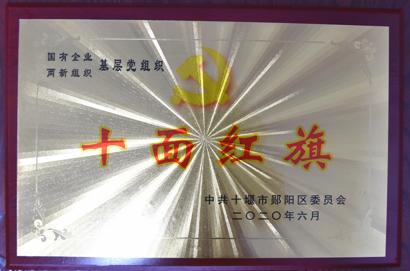 基層(ceng)黨組織“十(shi)面紅旗”2020