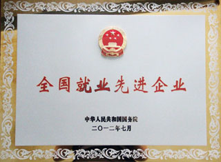 全國(guo)就業(ye)先進(jin)企業(ye)