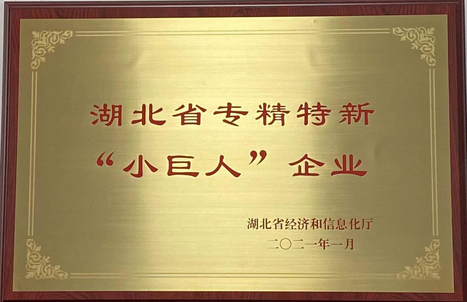 湖北省專(zhuan)精特新小(xiao)巨人