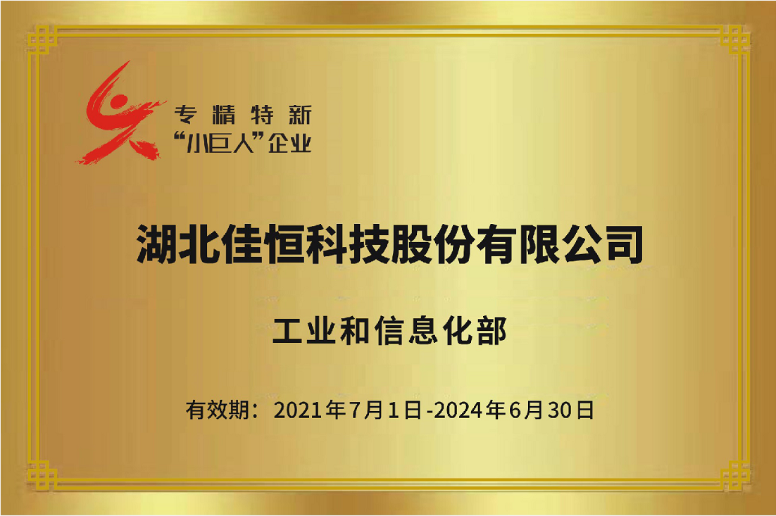 國家(jia)級專精特(te)新小巨人(ren)2021