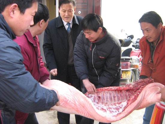 慰(wei)問茶店(dian)福利院(yuan)老人