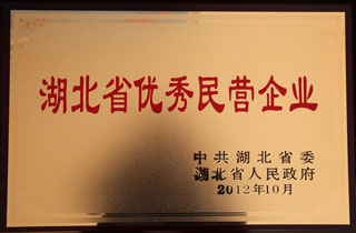 湖(hu)北省(sheng)優秀(xiu)民營(ying)企業(ye)